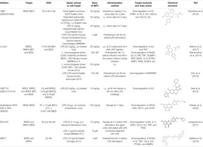 Pharmacological Modulation of BET Family in Sepsis